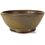 Ronde groene bonsai pot van Bonsai - 115 x 115 x 50 mm