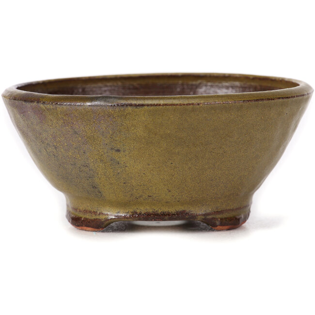 Maceta de bonsái verde redonda de Bonsai - 115 x 115 x 50 mm