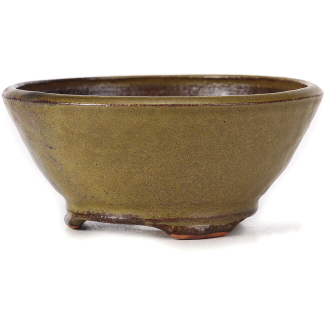 Vaso bonsai rotondo verde di Bonsai - 115 x 115 x 50 mm