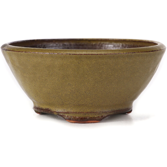 Vaso bonsai rotondo verde di Bonsai - 115 x 115 x 50 mm