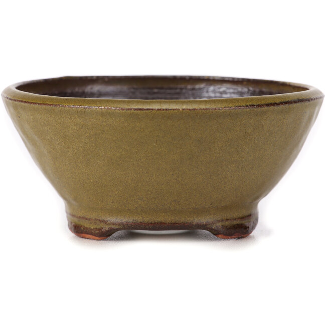 Pot à bonsaï rond vert par Bonsai - 115 x 115 x 50 mm