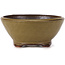 Round green bonsai pot by Bonsai - 115 x 115 x 50 mm