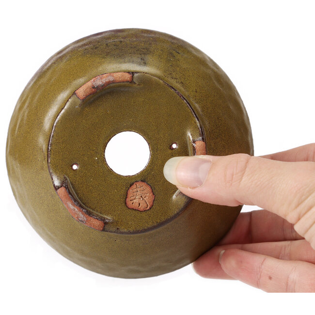 Maceta de bonsái verde redonda de Bonsai - 115 x 115 x 50 mm