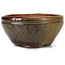 Pot à bonsaï rond vert et marron par Bonsai - 105 x 105 x 55 mm