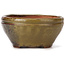 Round green and brown bonsai pot by Bonsai - 105 x 105 x 55 mm