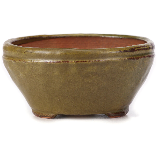 Maceta de bonsái redonda verde y marrón de Bonsai - 105 x 105 x 55 mm