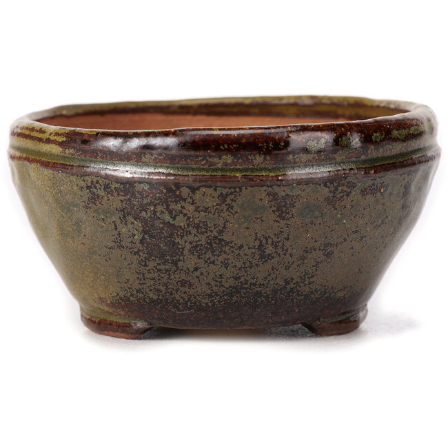 Runde grüne und braune Bonsaischale von Bonsai - 105 x 105 x 55 mm