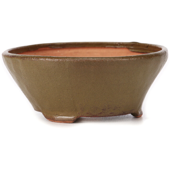 Vaso bonsai rotondo verde di Bonsai - 120 x 120 x 50 mm