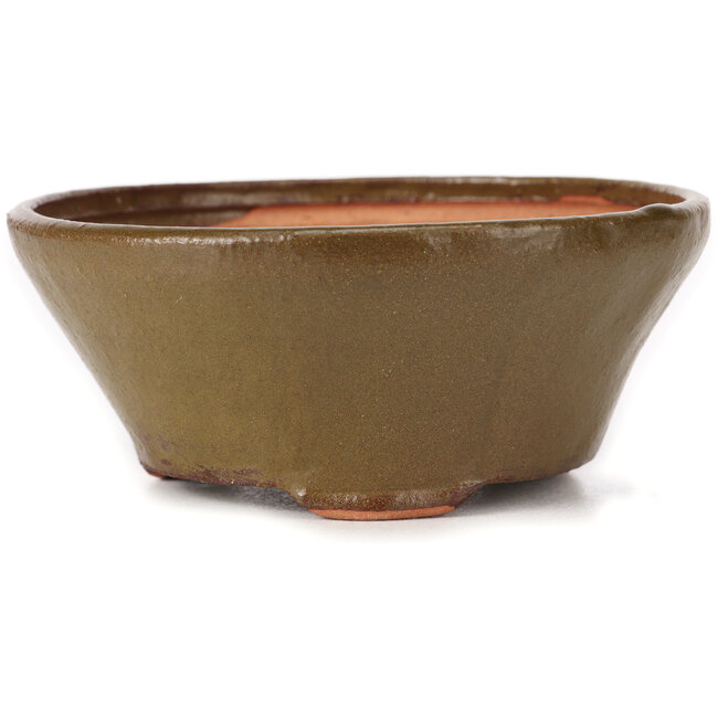 Maceta de bonsái verde redonda de Bonsai - 120 x 120 x 50 mm