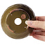 Pot à bonsaï rond vert et marron par Bonsai - 105 x 105 x 55 mm