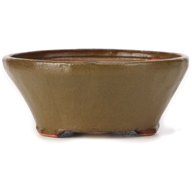 Maceta de bonsái verde redonda de Bonsai - 120 x 120 x 50 mm