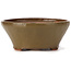 Pot à bonsaï rond vert par Bonsai - 120 x 120 x 50 mm