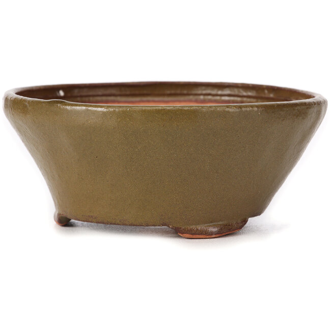 Maceta de bonsái verde redonda de Bonsai - 120 x 120 x 50 mm