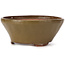 Pot à bonsaï rond vert par Bonsai - 120 x 120 x 50 mm