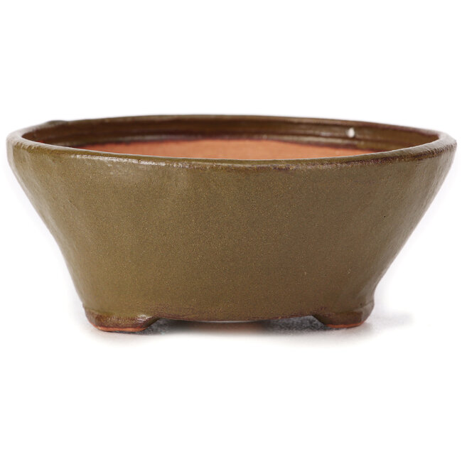 Vaso bonsai rotondo verde di Bonsai - 120 x 120 x 50 mm