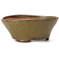 Ronde groene bonsai pot van Bonsai - 125 x 125 x 50 mm