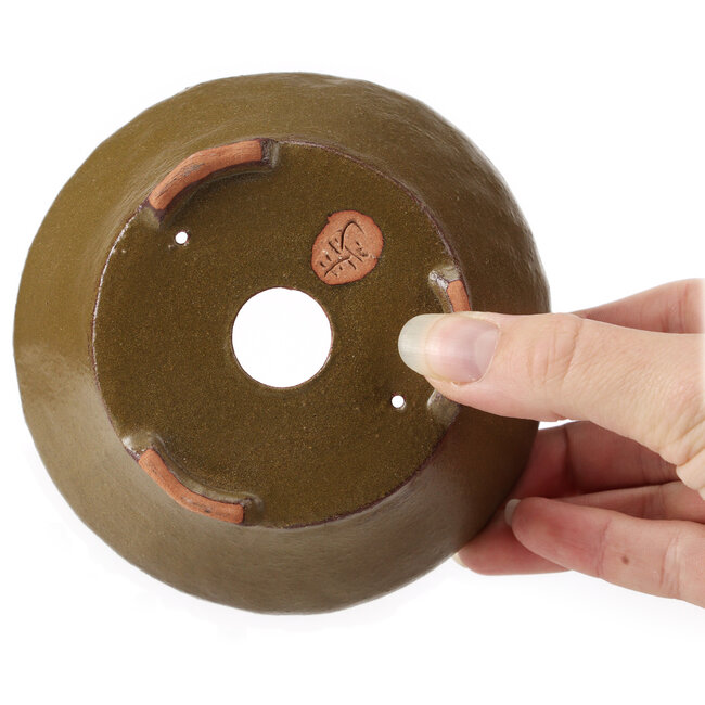 Pot à bonsaï rond vert par Bonsai - 120 x 120 x 50 mm