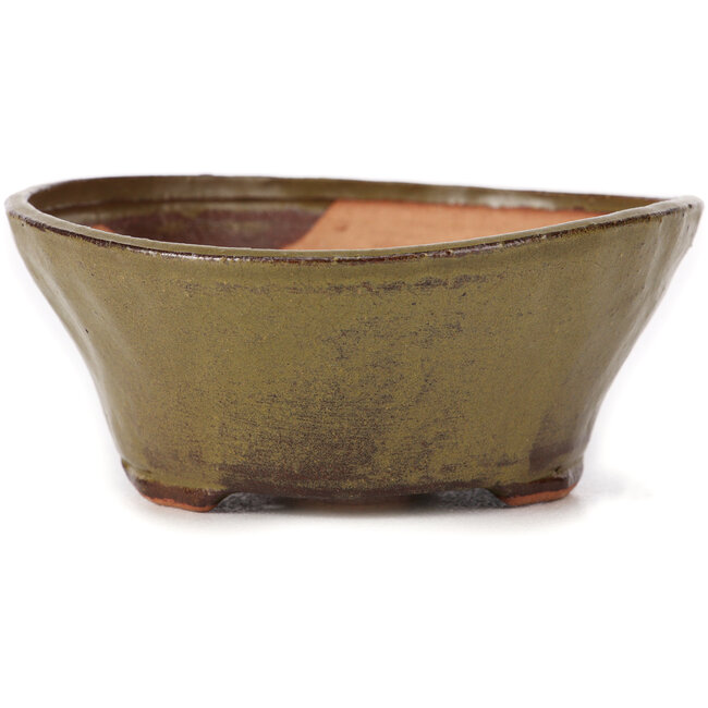 Maceta de bonsái verde redonda de Bonsai - 125 x 125 x 50 mm