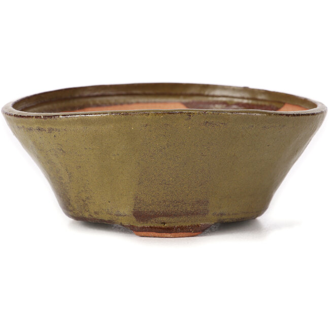 Round green bonsai pot by Bonsai - 125 x 125 x 50 mm