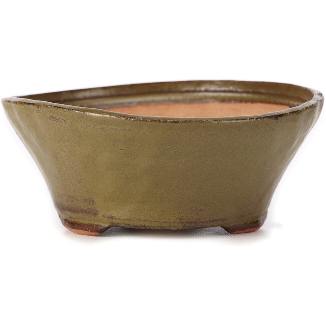 Vaso bonsai rotondo verde di Bonsai - 125 x 125 x 50 mm