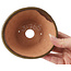 Pot à bonsaï rond vert par Bonsai - 125 x 125 x 50 mm