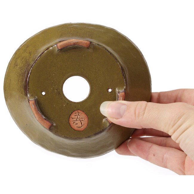 Pot à bonsaï rond vert par Bonsai - 125 x 125 x 50 mm