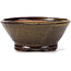 Round green and brown bonsai pot by Bonsai - 115 x 115 x 50 mm