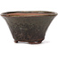 Round green and brown bonsai pot by Bonsai - 115 x 115 x 60 mm