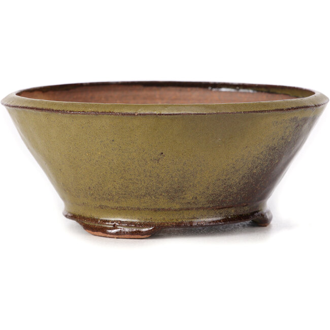 Runde grüne und braune Bonsaischale von Bonsai - 125 x 125 x 50 mm