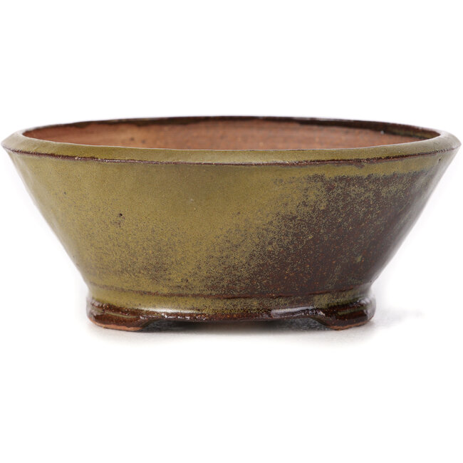 Vaso bonsai rotondo verde e marrone di Bonsai - 125 x 125 x 50 mm