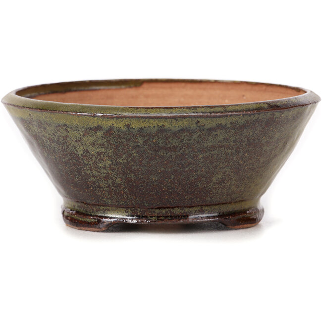 Vaso bonsai rotondo verde e marrone di Bonsai - 125 x 125 x 50 mm