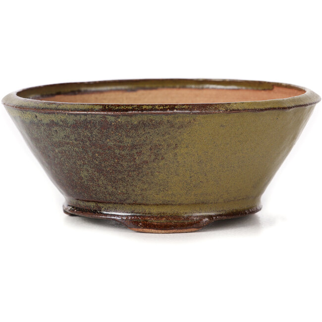 Round green and brown bonsai pot by Bonsai - 125 x 125 x 50 mm