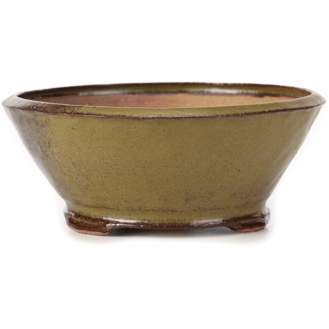 Vaso bonsai rotondo verde e marrone di Bonsai - 125 x 125 x 50 mm