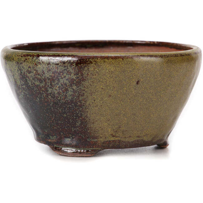 Vaso bonsai rotondo verde e marrone di Bonsai - 120 x 120 x 60 mm