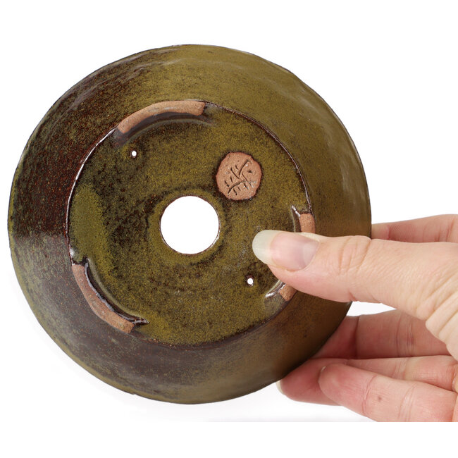 Ronde groene en bruine bonsaipot van Bonsai - 125 x 125 x 50 mm