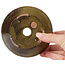 Pot à bonsaï rond vert et marron par Bonsai - 125 x 125 x 50 mm