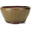 Round green and brown bonsai pot by Bonsai - 120 x 120 x 60 mm