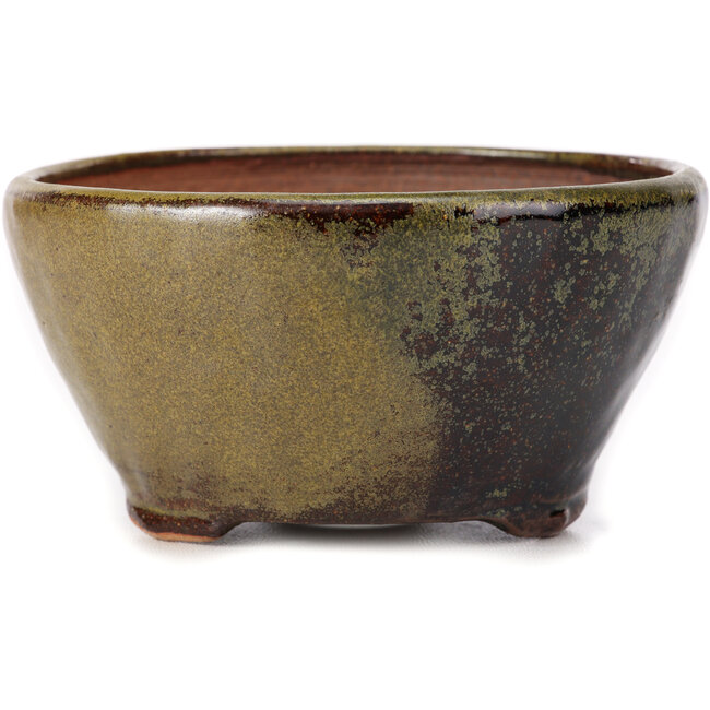 Vaso bonsai rotondo verde e marrone di Bonsai - 120 x 120 x 60 mm