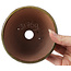 Pot à bonsaï rond vert et marron par Bonsai - 120 x 120 x 60 mm