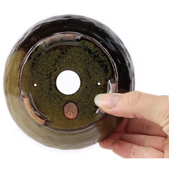 Round green and brown bonsai pot by Bonsai - 120 x 120 x 60 mm