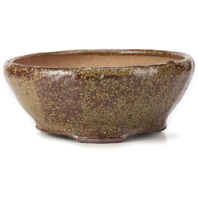 Round green and brown bonsai pot by Bonsai - 115 x 115 x 45 mm