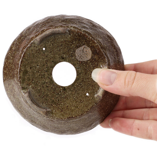 Maceta de bonsái marrón redonda de Bonsai - 110 x 110 x 45 mm