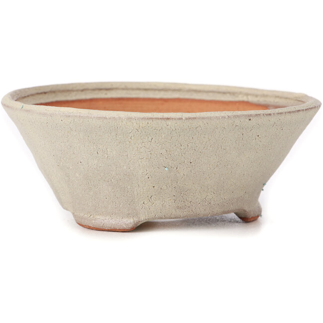 Vaso bonsai rotondo bianco di Bonsai - 120 x 120 x 50 mm