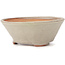 Round white bonsai pot by Bonsai - 120 x 120 x 50 mm