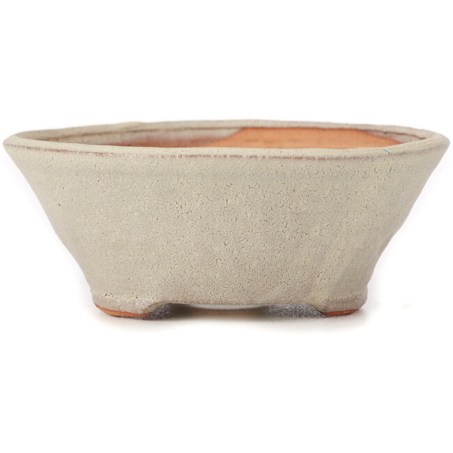 Vaso bonsai rotondo bianco di Bonsai - 120 x 120 x 50 mm