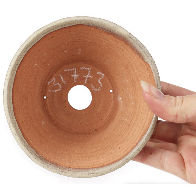 Maceta de bonsái blanca redonda de Bonsai - 120 x 120 x 50 mm