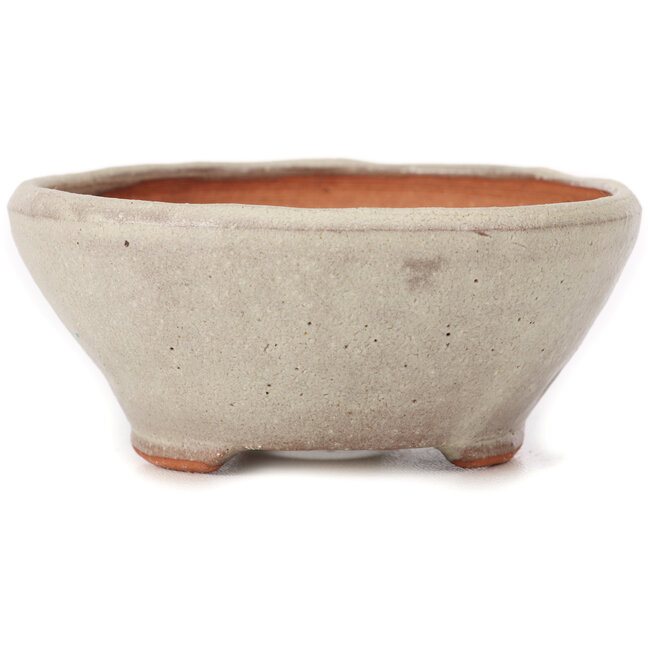 Maceta de bonsái blanca redonda de Bonsai - 115 x 115 x 50 mm