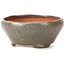 Round white bonsai pot by Bonsai - 115 x 115 x 45 mm