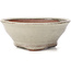 Vaso bonsai rotondo bianco di Bonsai - 120 x 120 x 45 mm