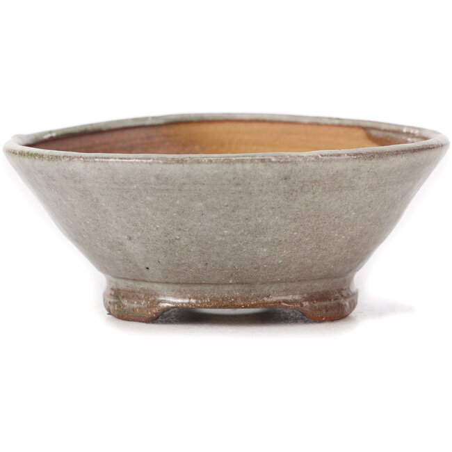 Ronde witte bonsaipot van Bonsai - 125 x 125 x 50 mm